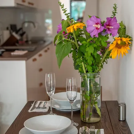 Apartment Spaleny Mlyn *